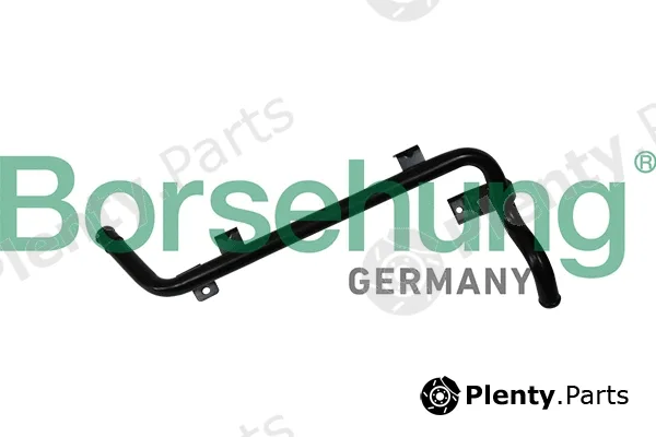 Borsehung B19266 — Hose, crankcase ventilation