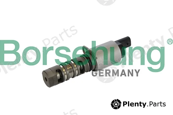 Borsehung B11866 — Central Valve, camshaft adjustment