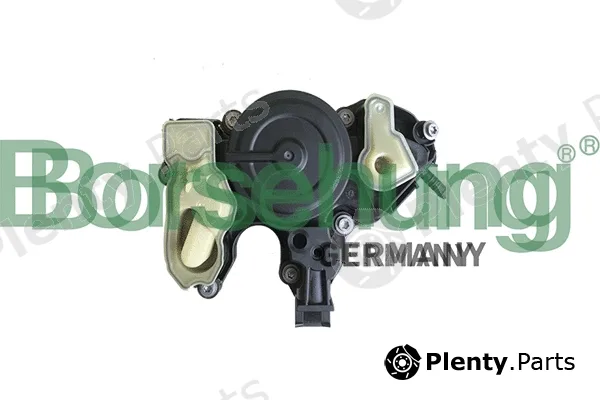 Borsehung B18956 — Oil Separator, crankcase ventilation