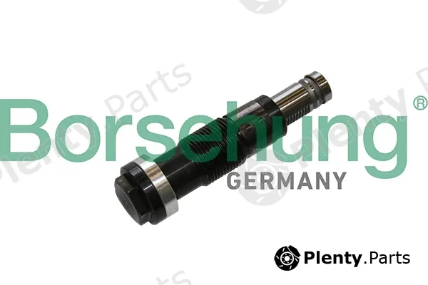 Borsehung B1T028 — Tensioner, timing chain