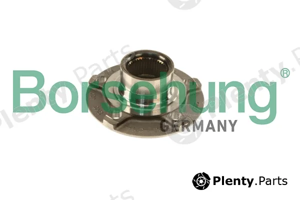 Borsehung B18957 — Wheel Hub