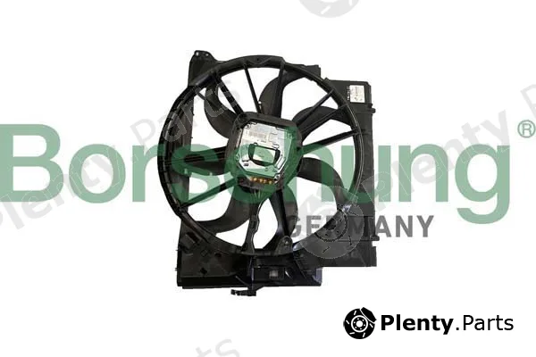 Borsehung B11268 — Fan, engine cooling