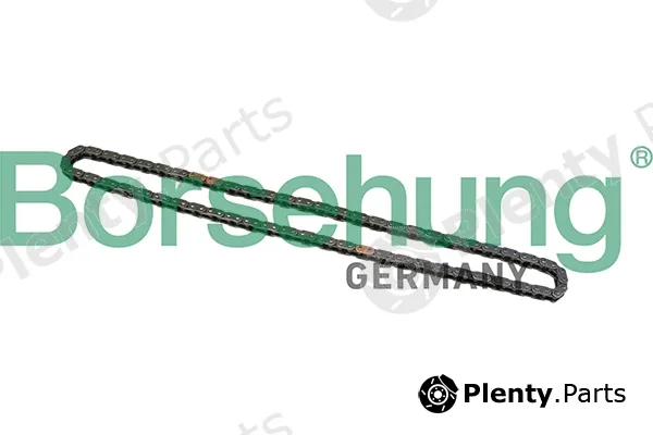 Borsehung B1C025 — Timing Chain