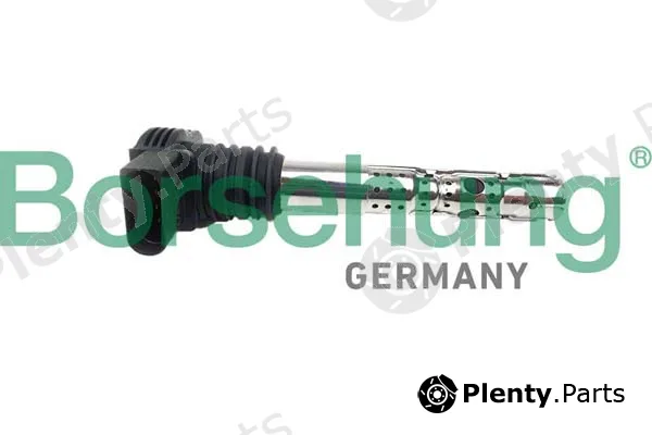 Borsehung B10691 — Ignition Coil