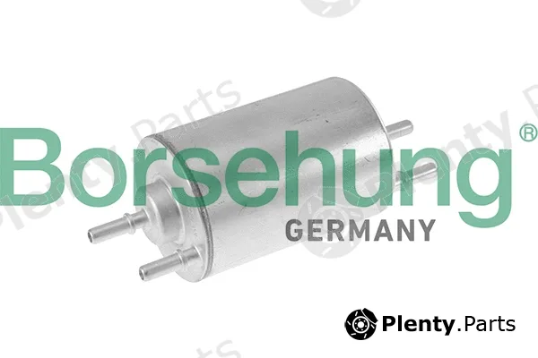 Borsehung B10479 — Fuel Filter