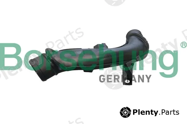 Borsehung B12349 — Charge Air Hose