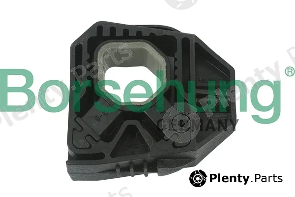 Borsehung B11356 — Mounting, radiator