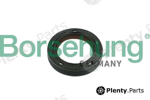 Borsehung B18729 — Shaft Seal, camshaft