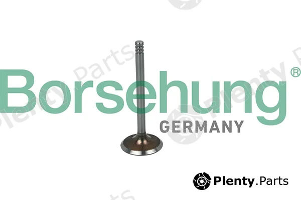 Borsehung B19031 — Intake Valve