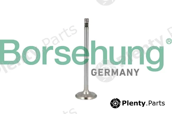 Borsehung B10350 — Exhaust Valve