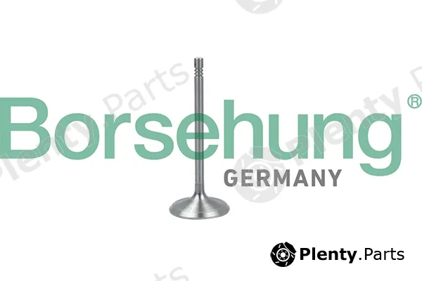 Borsehung B19017 — Intake Valve