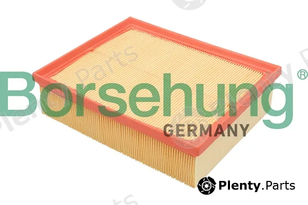 Borsehung B12805 — Air Filter