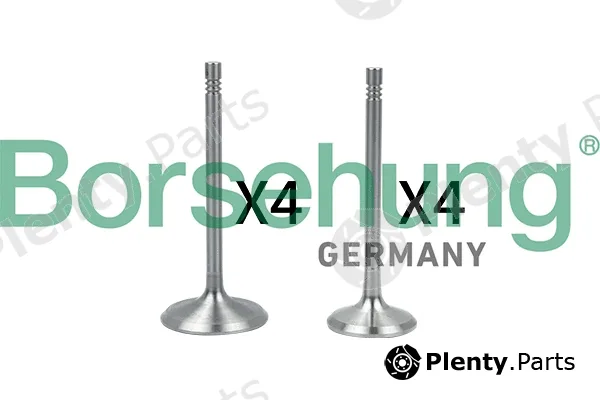 Borsehung B18146 — Valve Kit, intake/exhaust valve