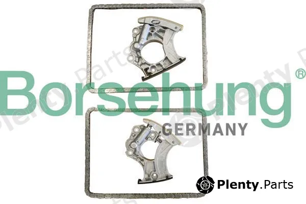 Borsehung B10243 — Timing Chain Kit