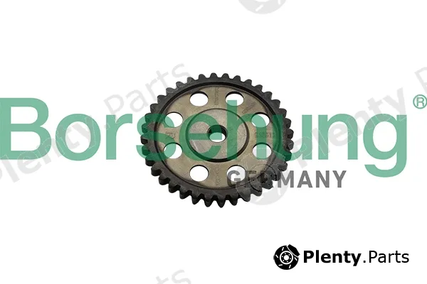 Borsehung B1S013 — Timing Chain Kit