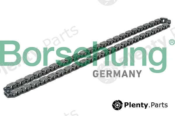 Borsehung B1C009 — Timing Chain