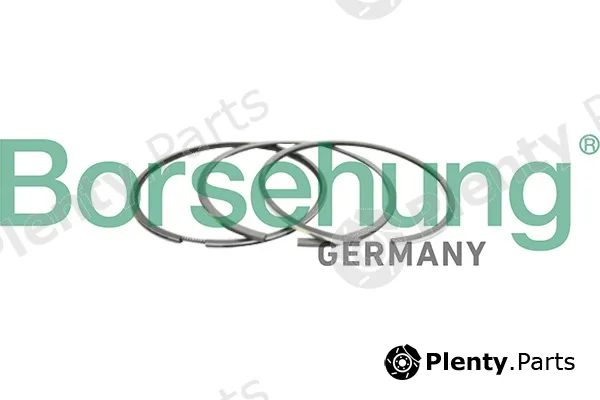 Borsehung B10366 — Piston Ring Kit