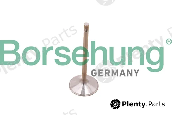 Borsehung B10348 — Piston Ring Kit