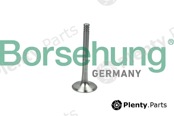 Borsehung B19014 — Exhaust Valve