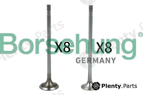 Borsehung B18632 — Valve Kit, intake/exhaust valve