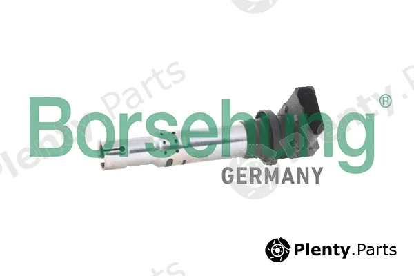 Borsehung B18973 — Ignition Coil