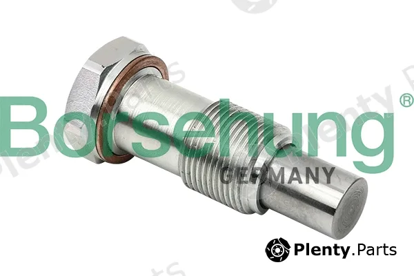Borsehung B1T014 — Tensioner, timing chain