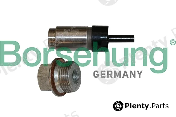 Borsehung B1T023 — Tensioner, timing chain