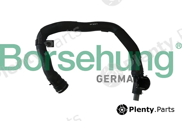 Borsehung B11958 — Radiator Hose