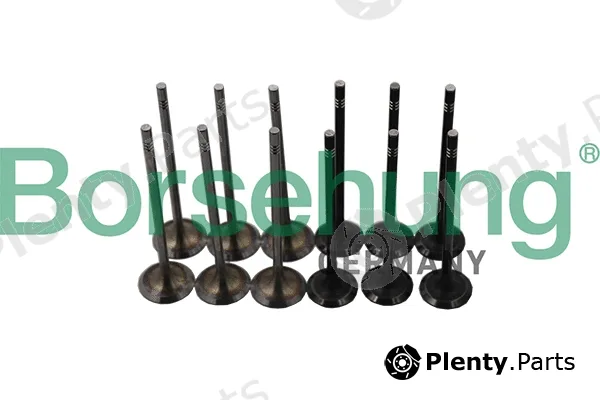 Borsehung B19160 — Valve Kit, intake/exhaust valve
