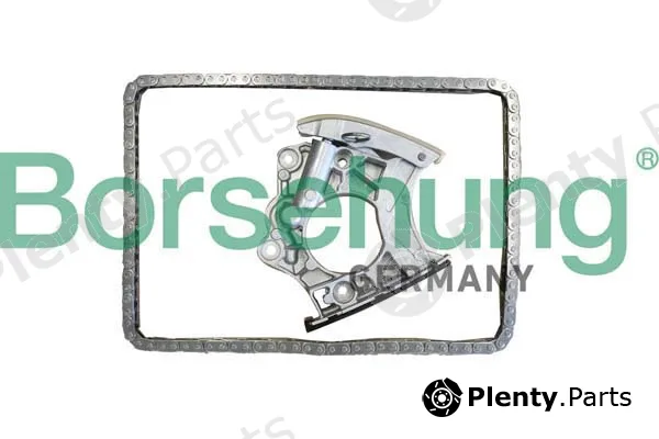 Borsehung B10244 — Timing Chain Kit