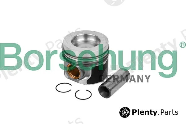 Borsehung B11133 — Piston