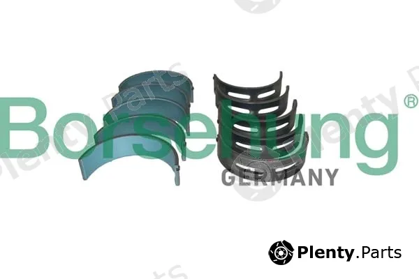 Borsehung B11392 — Crankshaft Bearing