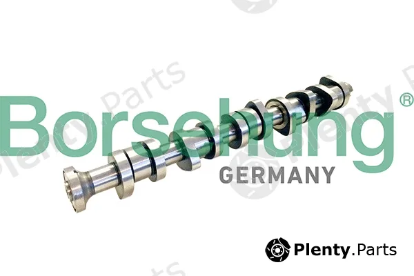 Borsehung B11309 — Camshaft