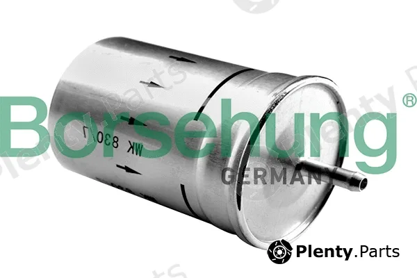 Borsehung B12794 — Fuel Filter