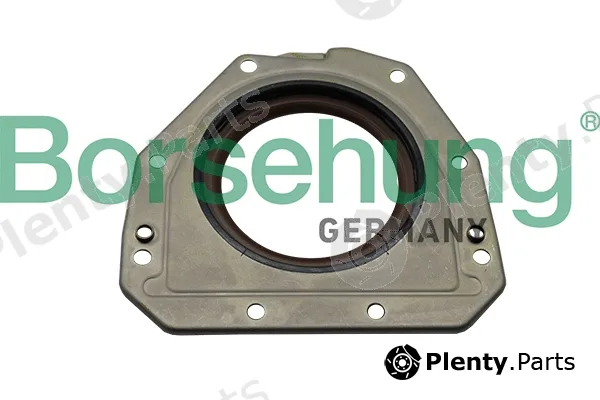 Borsehung B19208 — Shaft Seal, crankshaft