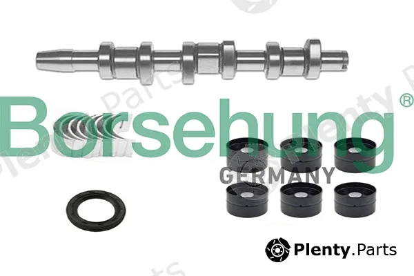 Borsehung B18665 — Camshaft Kit