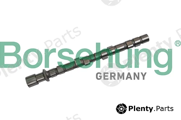 Borsehung B11318 — Camshaft