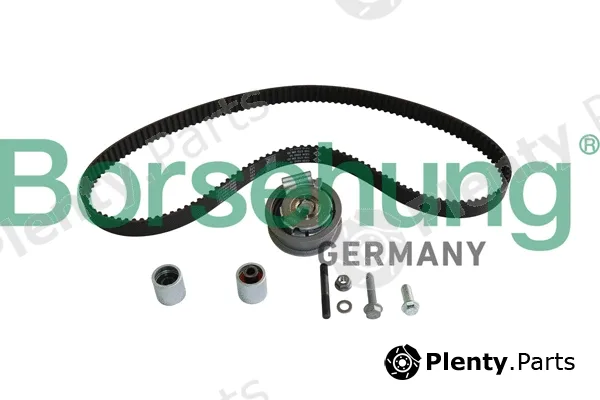 Borsehung B10226 — Timing Belt Kit