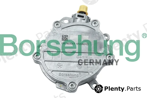 Borsehung B18772 — Vacuum Pump, braking system