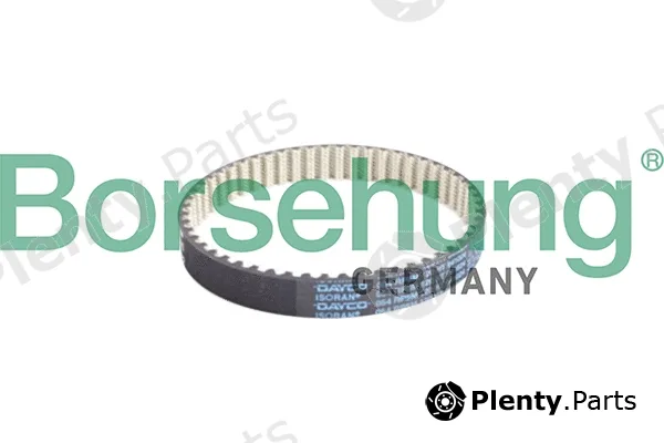 Borsehung B10231 — V-Belt