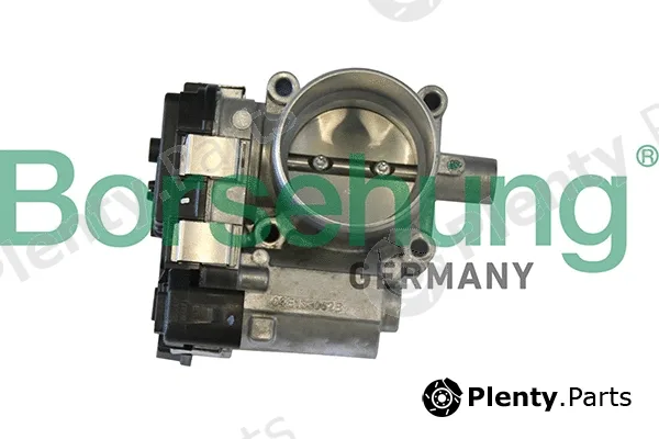 Borsehung B19289 — Throttle Body