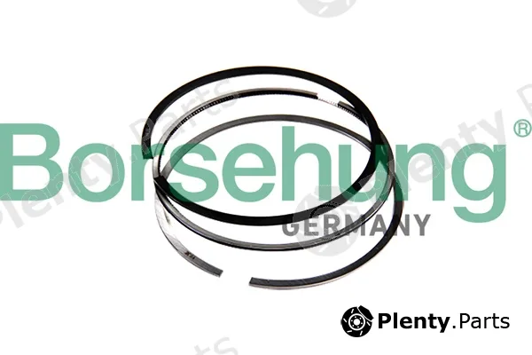 Borsehung B10365 — Piston Ring Kit