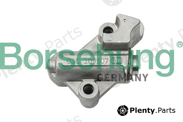 Borsehung B1T017 — Tensioner, timing chain