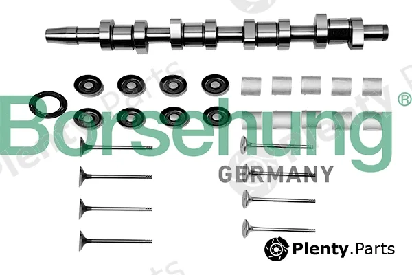 Borsehung B17129 — Repair Kit, intermediate shaft
