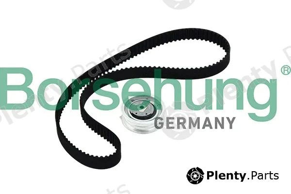 Borsehung B10219 — Timing Belt Kit