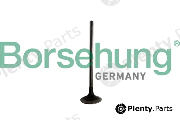 Borsehung B10329 — Exhaust Valve