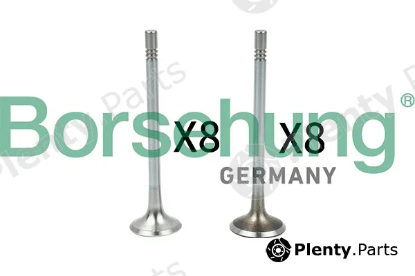 Borsehung B18629 — Valve Kit, intake/exhaust valve