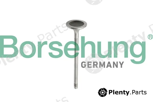 Borsehung B10343 — Piston Ring Kit