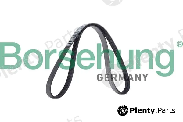 Borsehung B12385 — V-Ribbed Belt