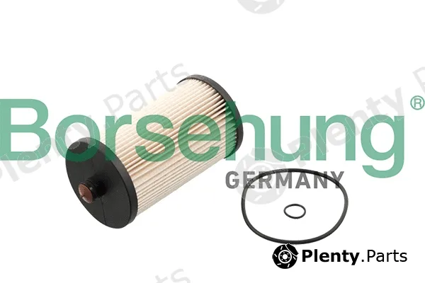 Borsehung B10522 — Fuel Filter